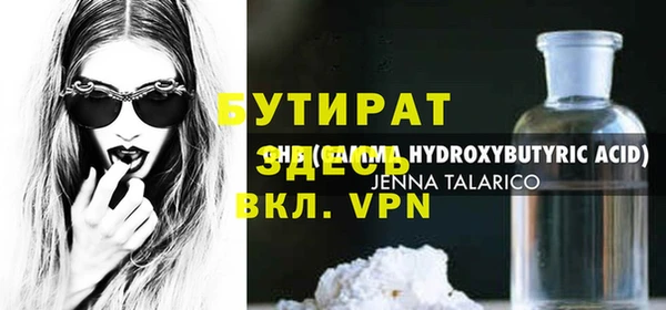 индика Гусев
