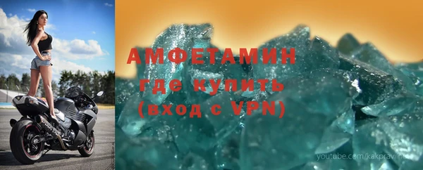 индика Гусев