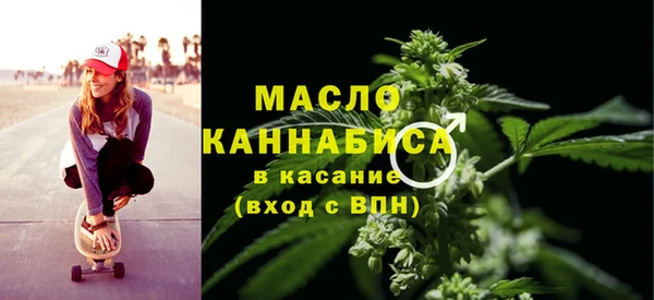индика Гусев