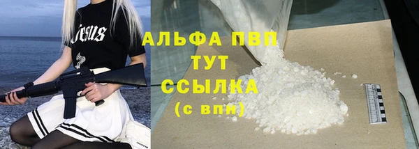индика Гусев