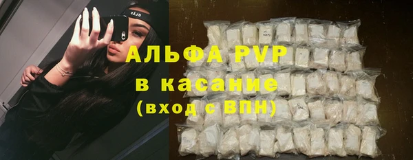 ECSTASY Гусь-Хрустальный