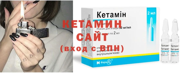 индика Гусев