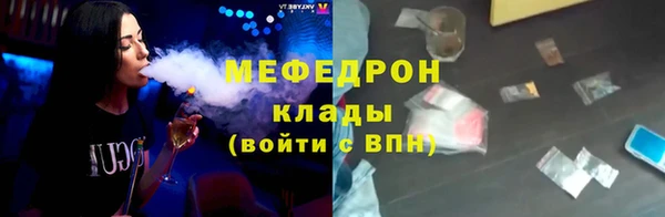 индика Гусев