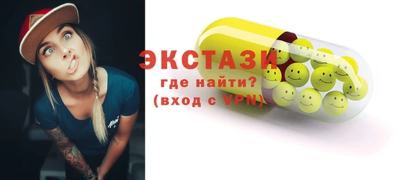 индика Гусев