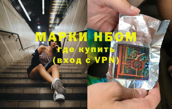 ECSTASY Гусь-Хрустальный