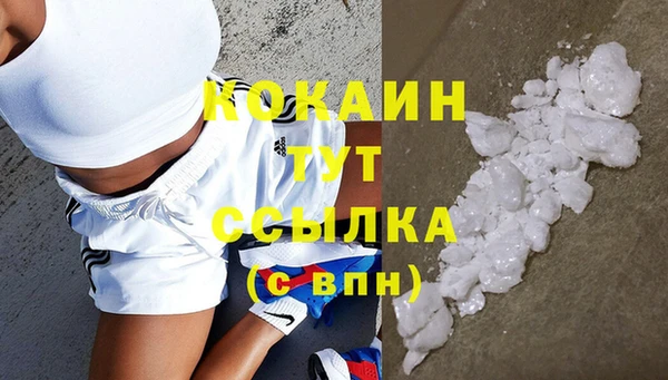 индика Гусев