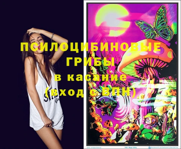 ECSTASY Гусь-Хрустальный