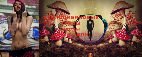 индика Гусев