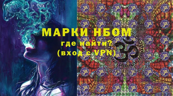 ECSTASY Гусь-Хрустальный