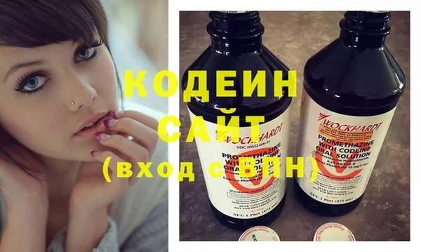 индика Гусев