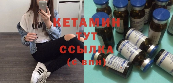 индика Гусев