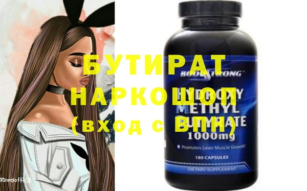 индика Гусев
