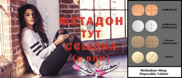 индика Гусев
