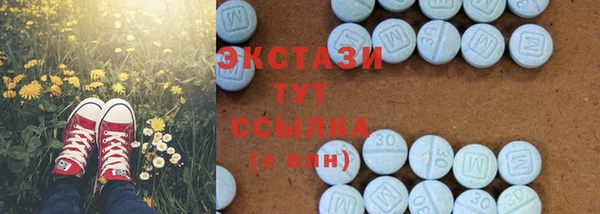 ECSTASY Гусь-Хрустальный