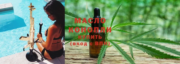 индика Гусев