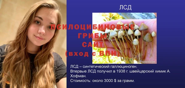 индика Гусев