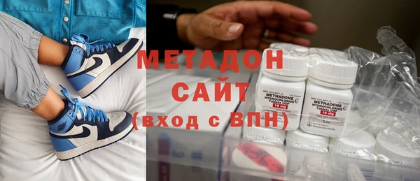индика Гусев